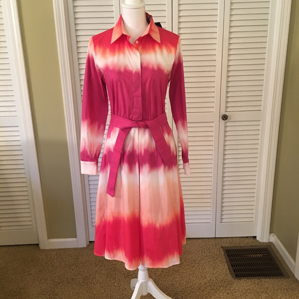 Piazza Sempione Elegant Pink Ombre Luxury Designer Shirt Dress NWT Size 40 (6)
